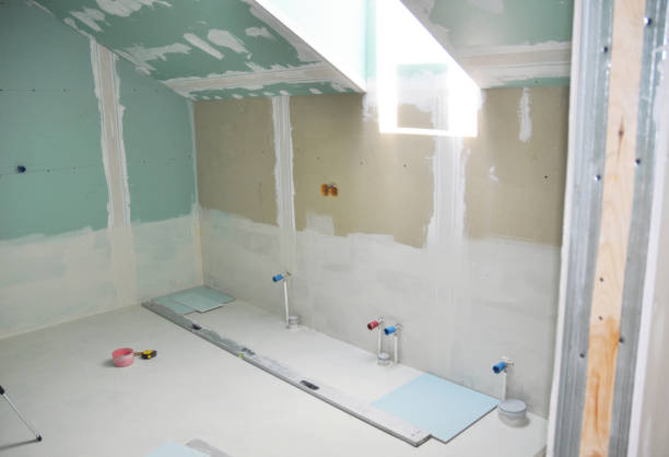 Best Post-Construction Mold Inspection  in Park Forest, IL
