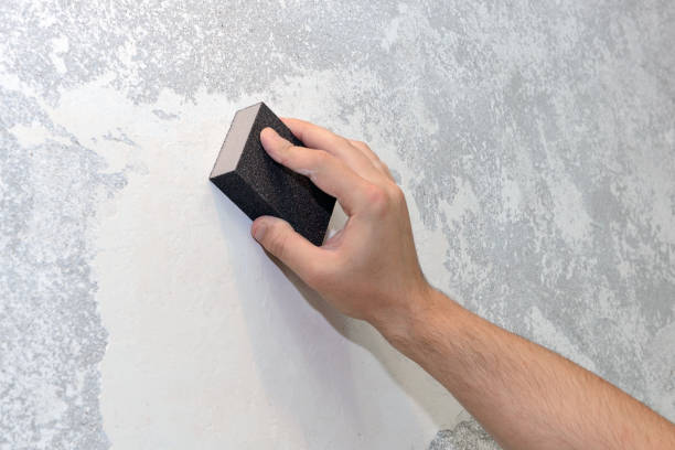 Best Mold Damage Restoration  in Park Forest, IL