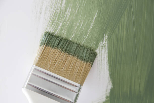 Professional Mold Removal in Park Forest, IL