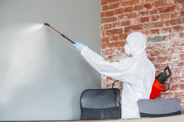 Best Post-Construction Mold Inspection  in Park Forest, IL