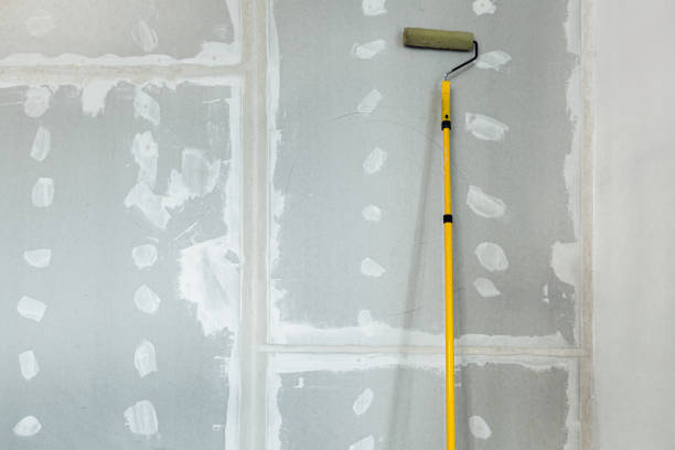 Best Industrial Mold Remediation  in Park Forest, IL