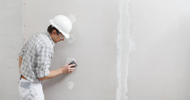 Best Mold Remediation for Healthcare Facilities  in Park Forest, IL