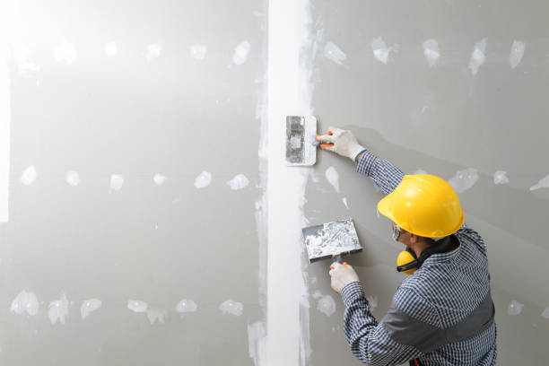 Best Post-Remediation Verification Testing  in Park Forest, IL