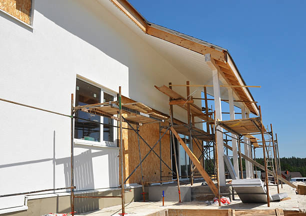 Best Asbestos and Lead Testing During Mold Inspection  in Park Forest, IL