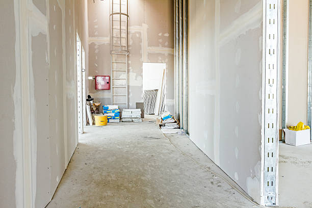 Best Residential Mold Inspection & Testing  in Park Forest, IL