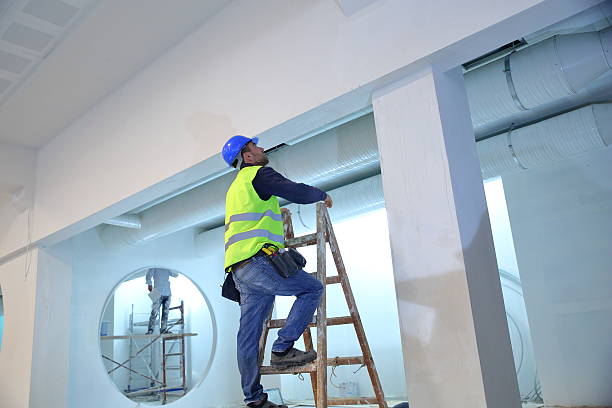 Best Water Damage & Mold Remediation  in Park Forest, IL