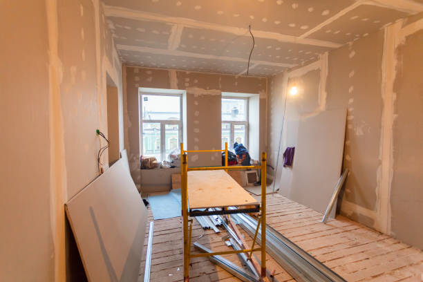Best Emergency Mold Remediation  in Park Forest, IL